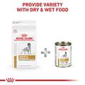 Royal Canin Veterinary Diet Adult Urinary SO Moderate Calorie Thin Slices in Gravy Canned Dog Food, 12.5 oz cans