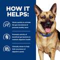 Hill's Prescription Diet Gastrointestinal Biome Digestive / Fiber Care Chicken & Vegetable Stew Dog Canned Food, 12 x 12.5 oz cans