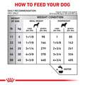 Royal Canin Veterinary Diet Adult Hydrolyzed Protein Potato & Soy Formula Dry Dog Food