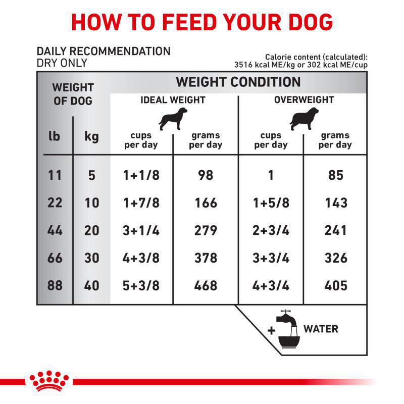 Royal Canin Veterinary Diet Adult Hydrolyzed Protein Potato & Soy Formula Dry Dog Food