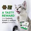 VetriScience Healthy Mouth Bites Perio Plus Feline Bites, 60 ct