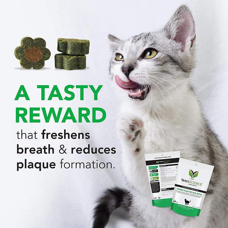 VetriScience Healthy Mouth Bites Perio Plus Feline Bites, 60 ct