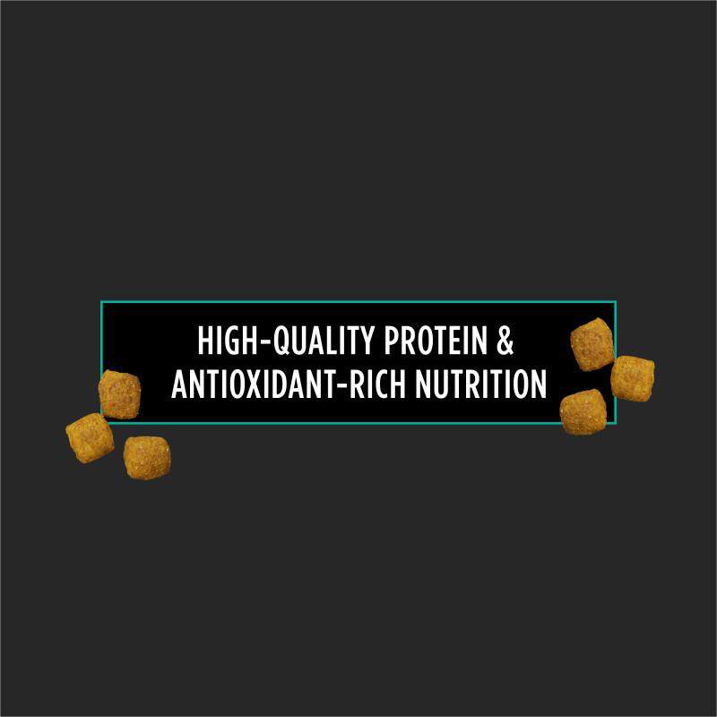 Purina Pro Plan Veterinary Diets EN Gastroenteric Canine Formula