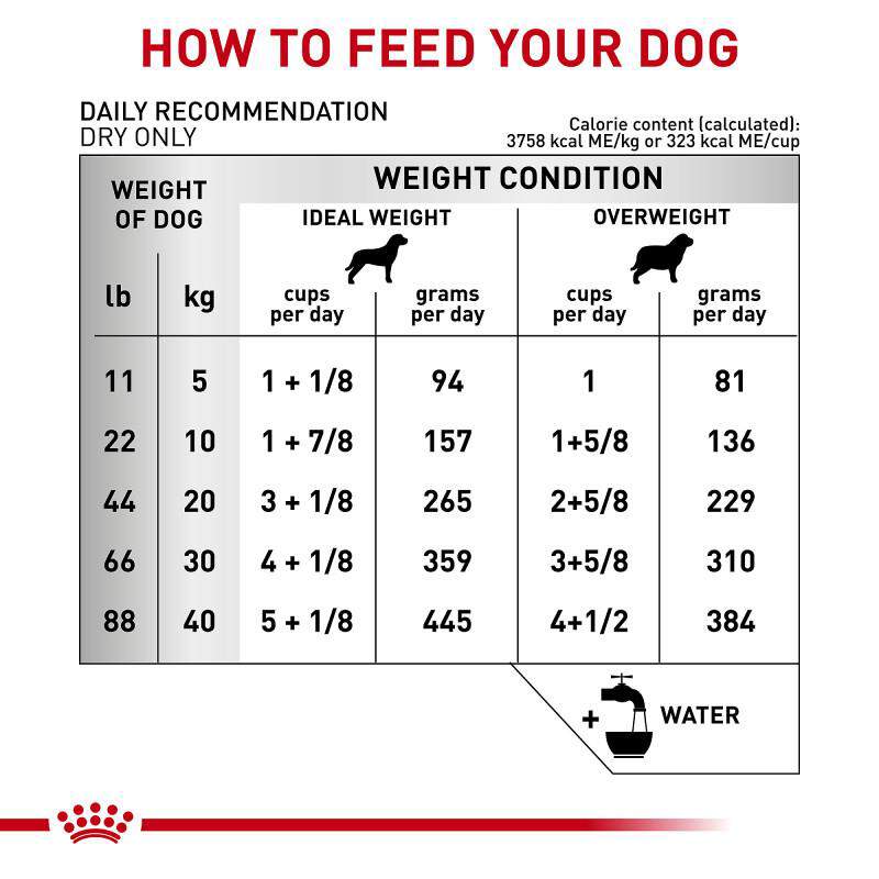 Royal Canin Veterinary Diet Adult Ultamino Dry Dog Food