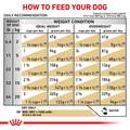 Royal Canin Veterinary Diet Adult Urinary SO Dry Dog Food