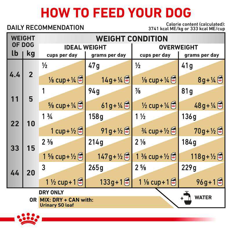 Royal Canin Veterinary Diet Adult Urinary SO Dry Dog Food