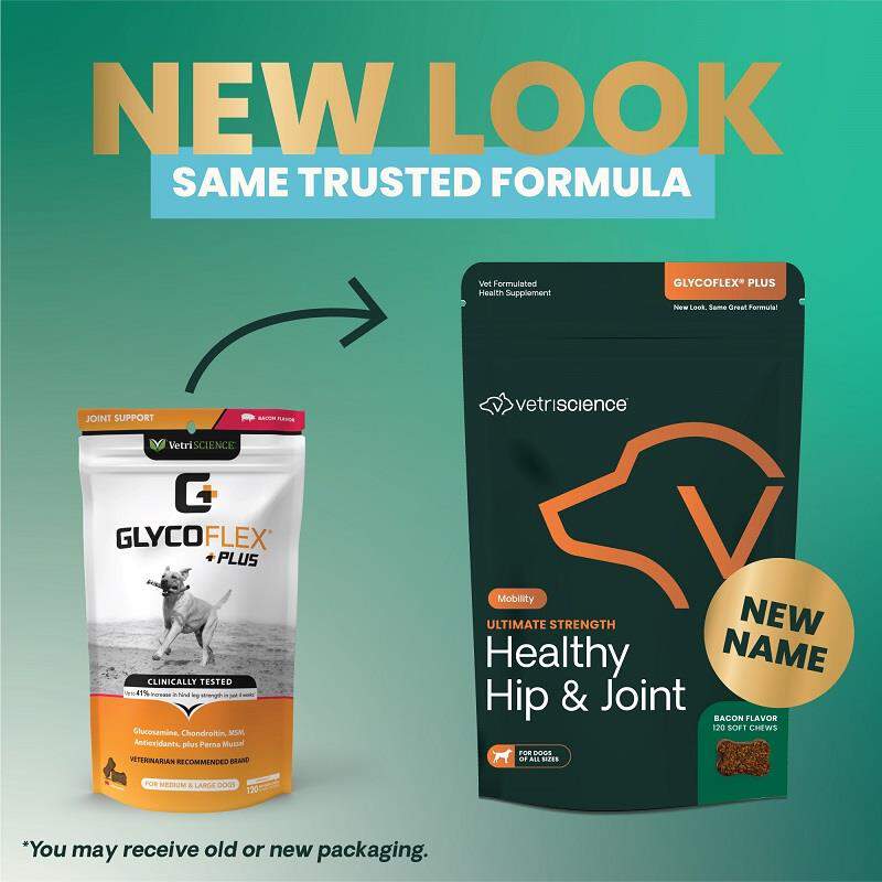 VetriScience Healthy Hip & Joint Glyco-Flex Plus Joint Support for Dogs, 120 Chews