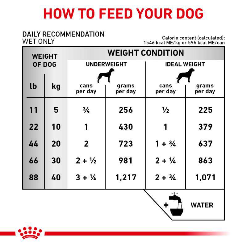 Royal Canin Veterinary Diet Adult Renal Support T Loaf Canned Dog Food, 24 x 13.5 oz cans