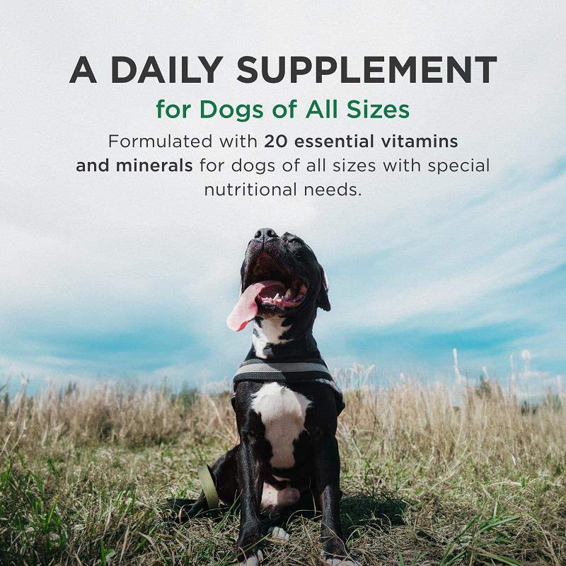 Pet-Tabs Plus
