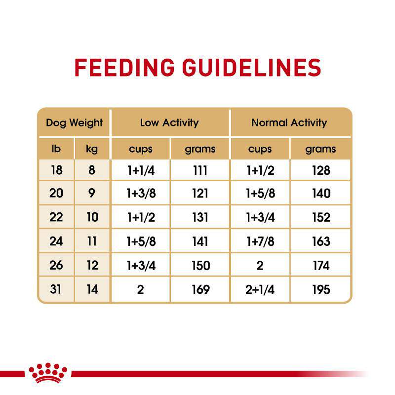 Royal Canin Breed Health Nutrition French Bulldog Adult Dry Dog Food