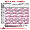 Royal Canin Veterinary Diet Adult Renal Support Early Consult Dry Dog Food