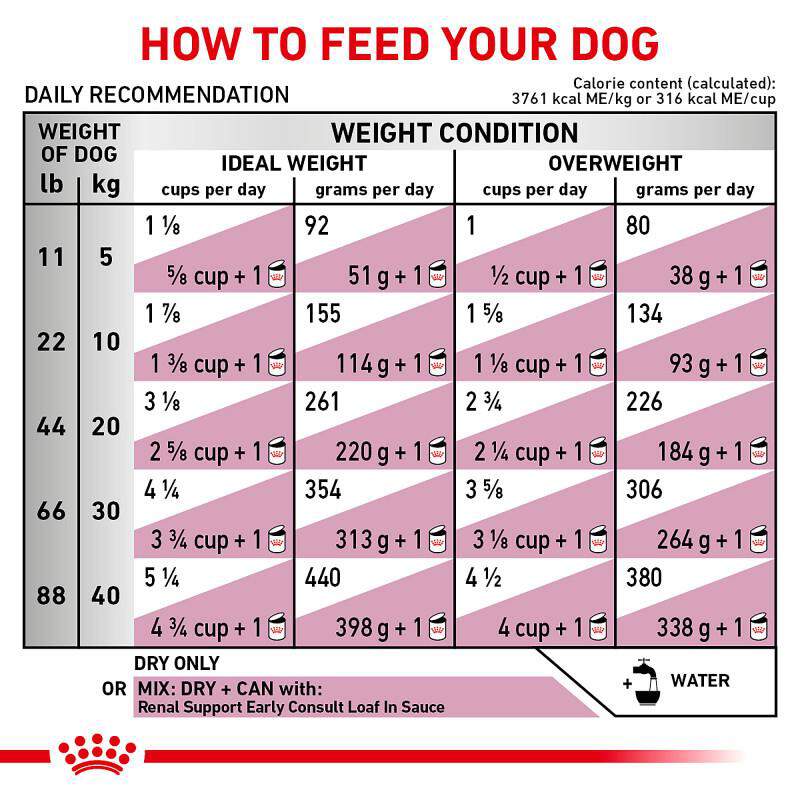 Royal Canin Veterinary Diet Adult Renal Support Early Consult Dry Dog Food