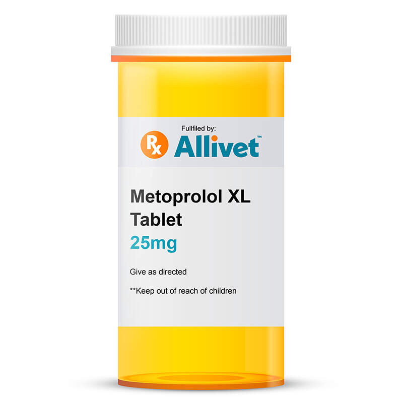 Metoprolol XL 25 mg Tablet