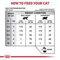 Royal Canin Veterinary Diet Adult Calm Dry Cat Food