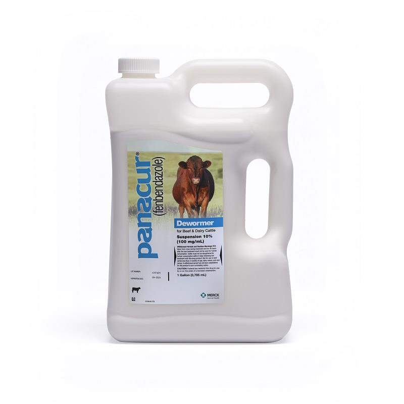 Panacur 10% Suspension Dewormer for Beef & Dairy Cattle, Gallon