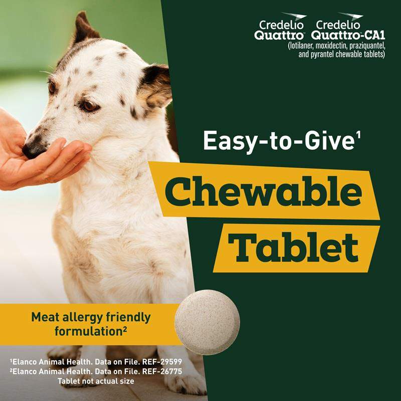 Credelio Quattro Flavored Chewable Tablet for Dogs & Puppies
