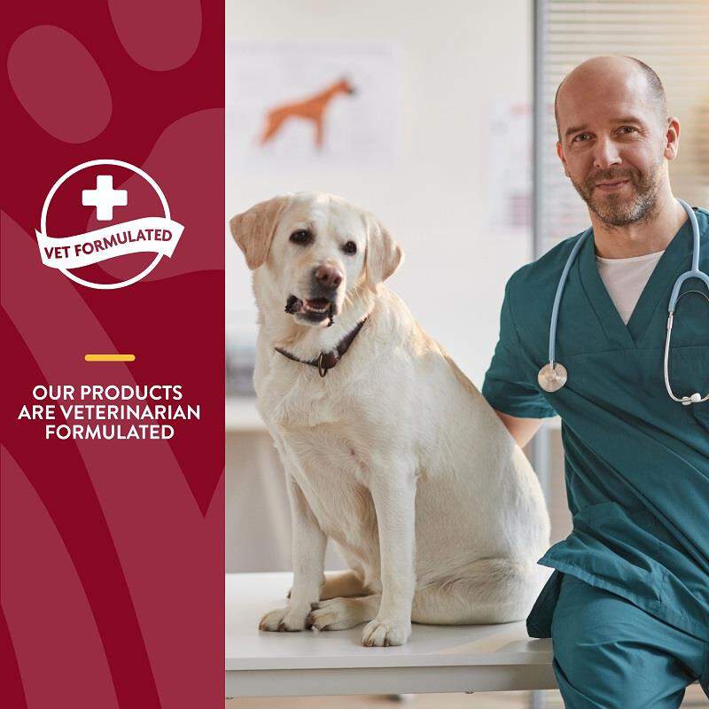 NaturVet Bladder Support Plus Cranberry Soft Chews for Dogs, 60 ct