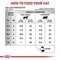 Royal Canin Veterinary Diet Adult Multifunction Urinary SO + Hydrolyzed Protein Dry Cat Food