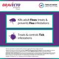 Bravecto Chews for Dogs