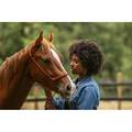 Zoetis Quest Plus Gel for Horses with Worms, 1 syringe, 0.05 ounces