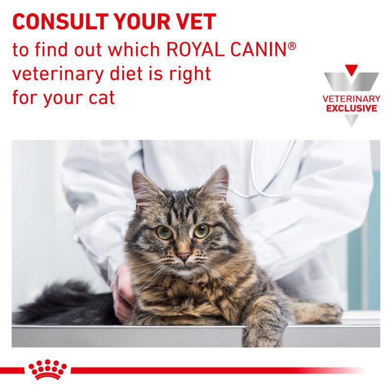 Royal Canin Veterinary Diet Adult Multifunction Urinary SO + Satiety Dry Cat Food