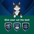 Pet Protect Probiotic Balance + Endurosyn Oral Gel for Cats, 15 g