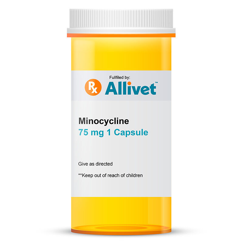 Minocycline 75 mg 1 Capsule