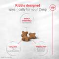 Royal Canin Breed Health Nutrition Corgi Adult Dry Dog Food