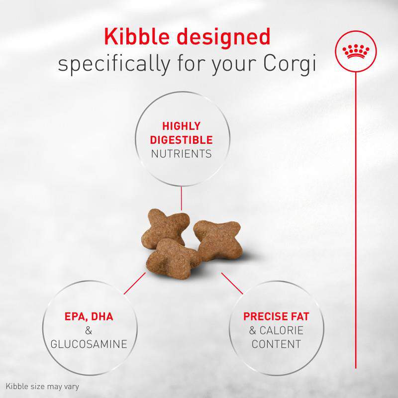 Royal Canin Breed Health Nutrition Corgi Adult Dry Dog Food