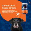 NaturVet Senior Dog Daily Care All-In-One Supplement with  8-in-1 Support, Hickory Smoked Bacon Flavor, 60 Soft Chews