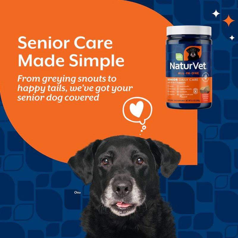 NaturVet Senior Dog Daily Care All-In-One Supplement with  8-in-1 Support, Hickory Smoked Bacon Flavor, 60 Soft Chews