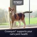 Cosequin Maximum Strength Joint Health Supplement for Cats, Sprinkle Capsules