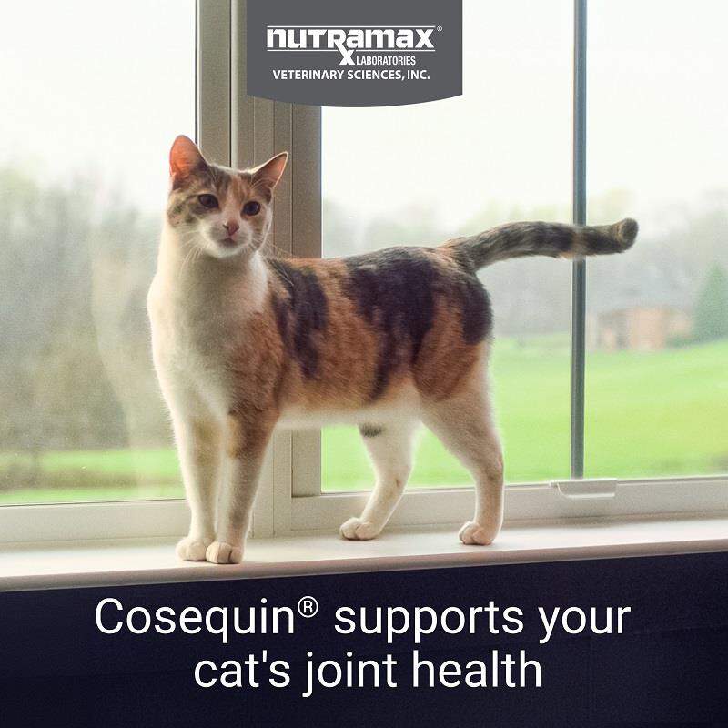 Cosequin Maximum Strength Joint Health Supplement for Cats, Sprinkle Capsules