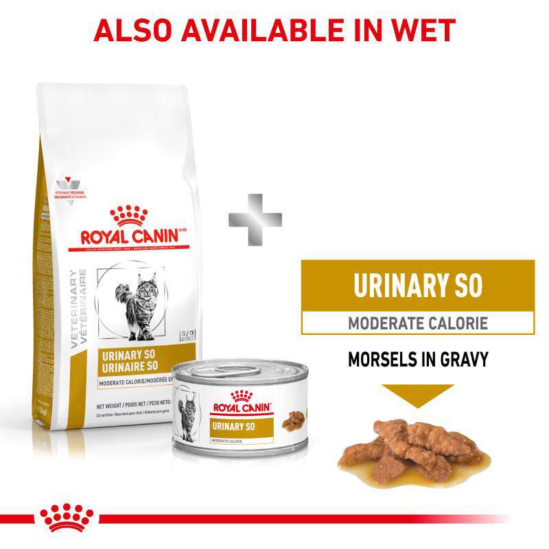 Royal Canin Veterinary Diet Adult Urinary SO Moderate Calorie Dry Cat Food