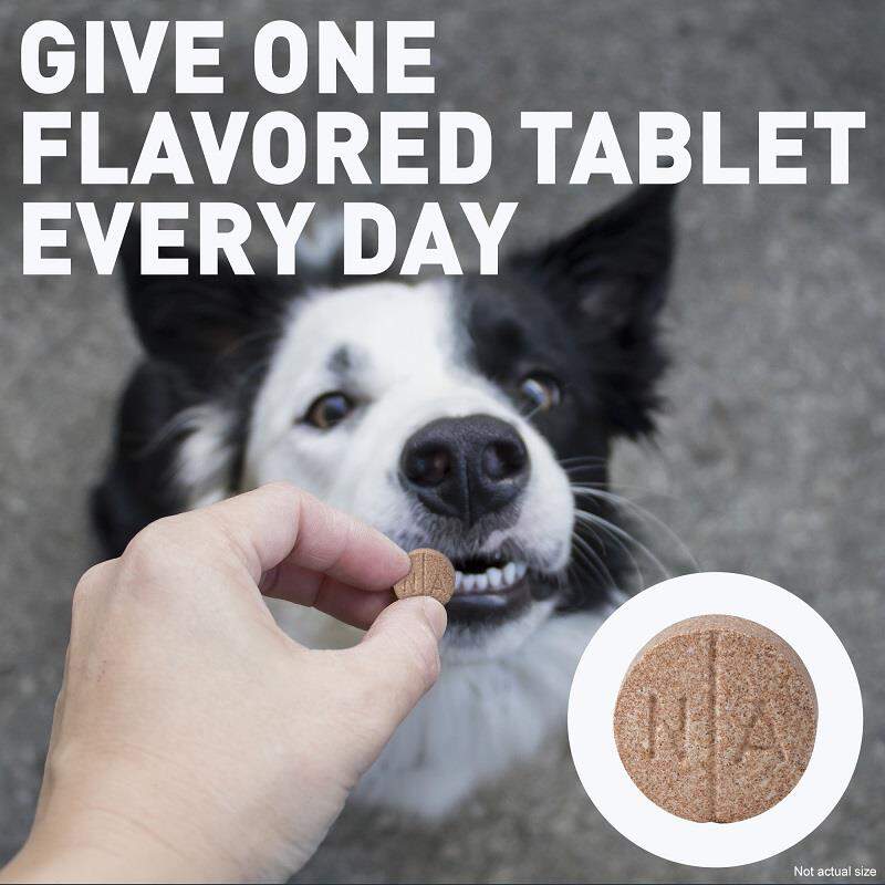 Deramaxx Chewable Tablets for Dogs
