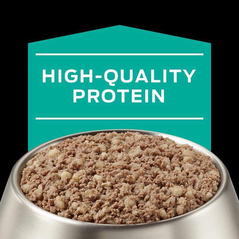 Purina Pro Plan Veterinary Diets EN Gastroenteric Canine Formula, 12 x 13.4 oz cans