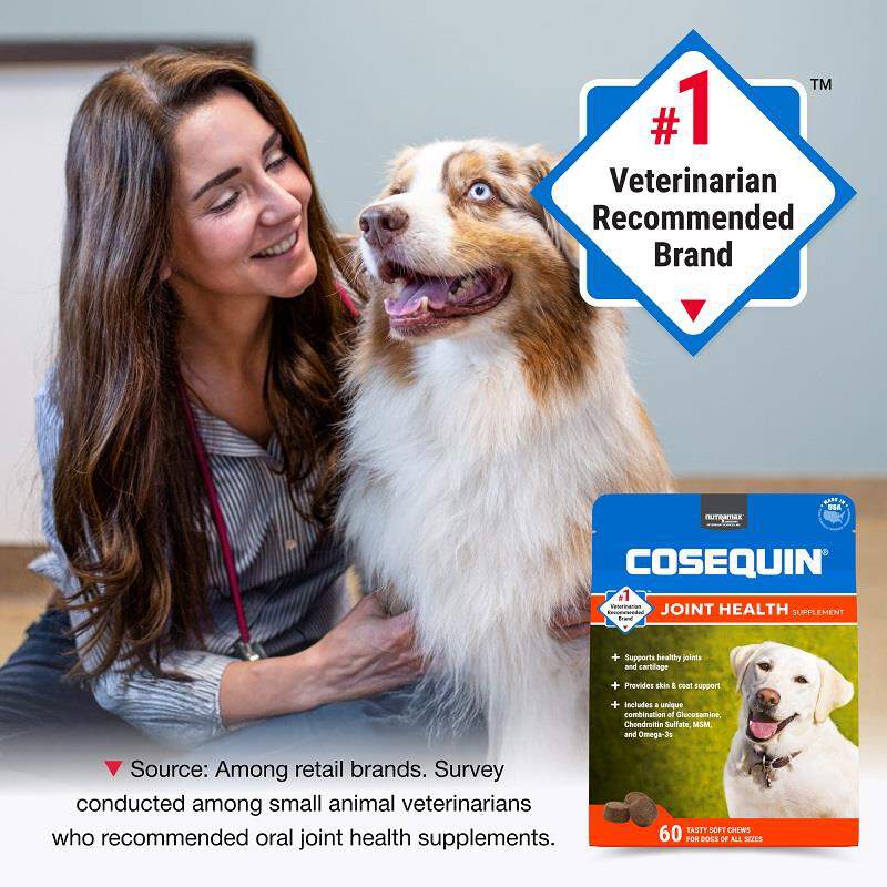 Cosequin Max Strength Joint Supplement for Dogs w/MSM plus Omega-3's