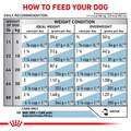 Royal Canin Veterinary Diet Selected Protein Potato & Duck Loaf Adult Canned Dog Food, 24 x 13.5 oz cans