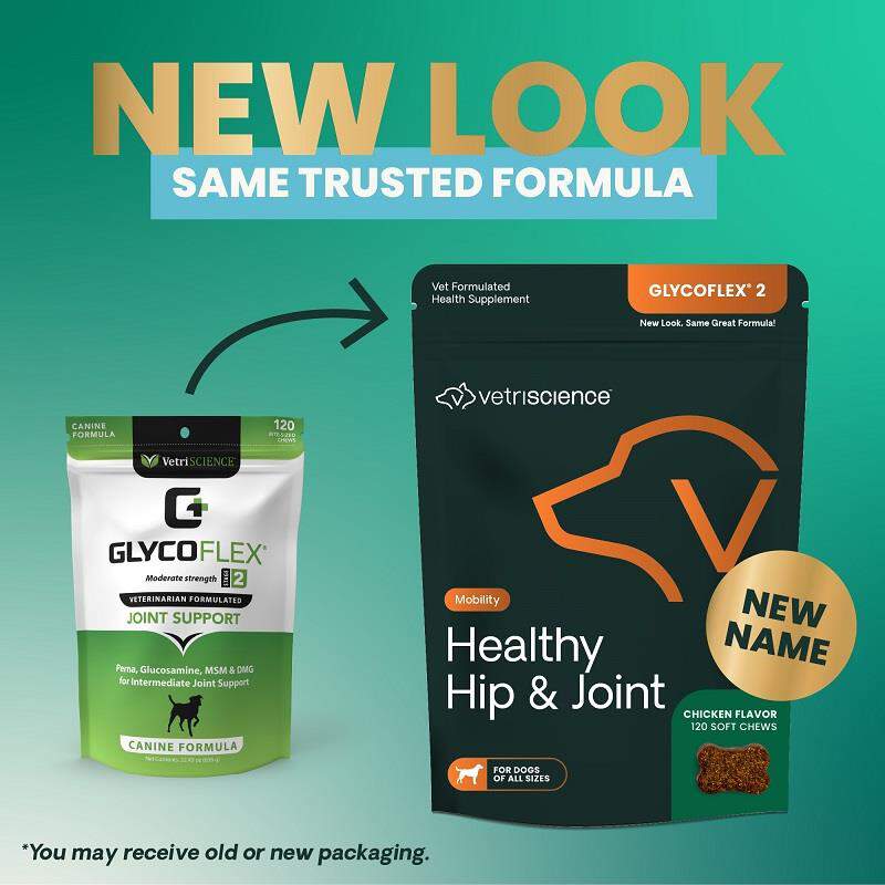 VetriScience Healthy Hip & Joint GlycoFlex Soft Chews for Dogs, 120 ct