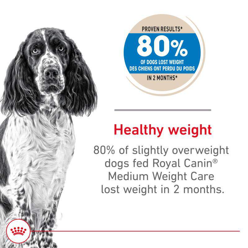 Royal Canin Canine Care Nutrition Medium Weight Care Adult Dry Dog Food