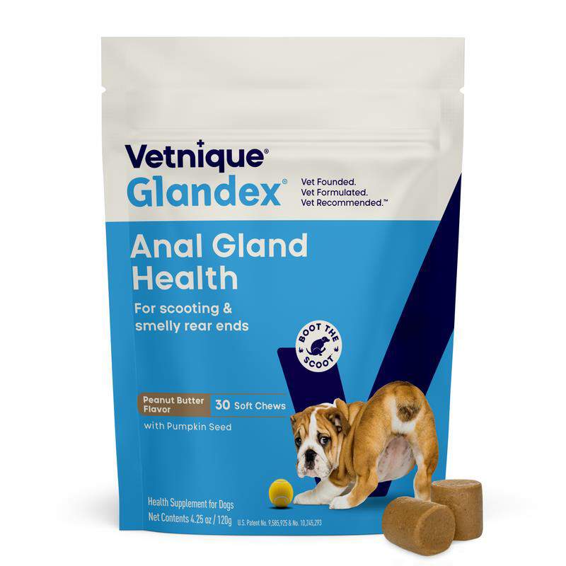 Glandex Anal Gland Support Peanut Butter Chews for Dogs
