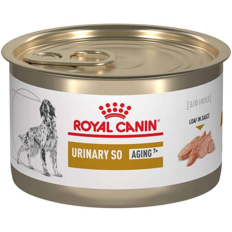 Royal Canin Veterinary Diet Adult Urinary SO Aging 7+ Loaf in Sauce Canned Dog Food, 24 x 5.2 oz cans