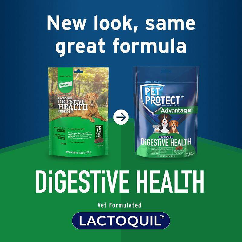 Pet Protect Digestive Health Lactoquil Soft Chews for Dogs, 60 Ct.