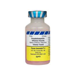 Fluvac Innovator 4