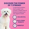 Proviable-DC Digestive Health Supplement for Dogs, 60 Chewable Tablets