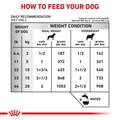Royal Canin Veterinary Diet Adult Urinary SO Thin Slices in Gravy Canned Dog Food, 24 x 12.5 oz cans