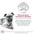 Royal Canin Canine Care Nutrition Adult Small Dental Care Dry Dog Food, 17 lb bag