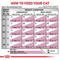 Royal Canin Veterinary Diet Adult Renal Support S Dry Cat Food