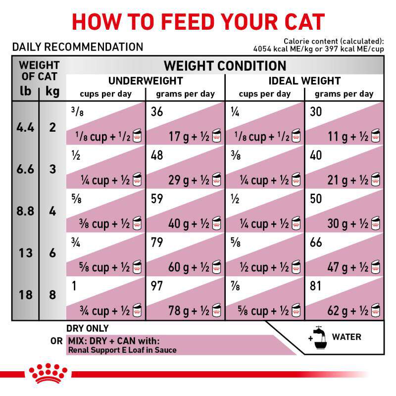 Royal Canin Veterinary Diet Adult Renal Support S Dry Cat Food