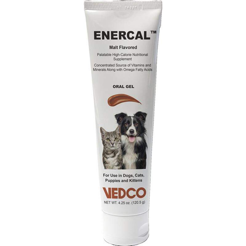 ENERCAL High Calorie Nutritional Oral Gel Supplement for Dogs and Cats, Malt Flavored 4.25 oz